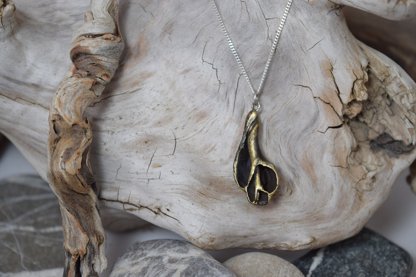 Pendant: Inside a shell #1