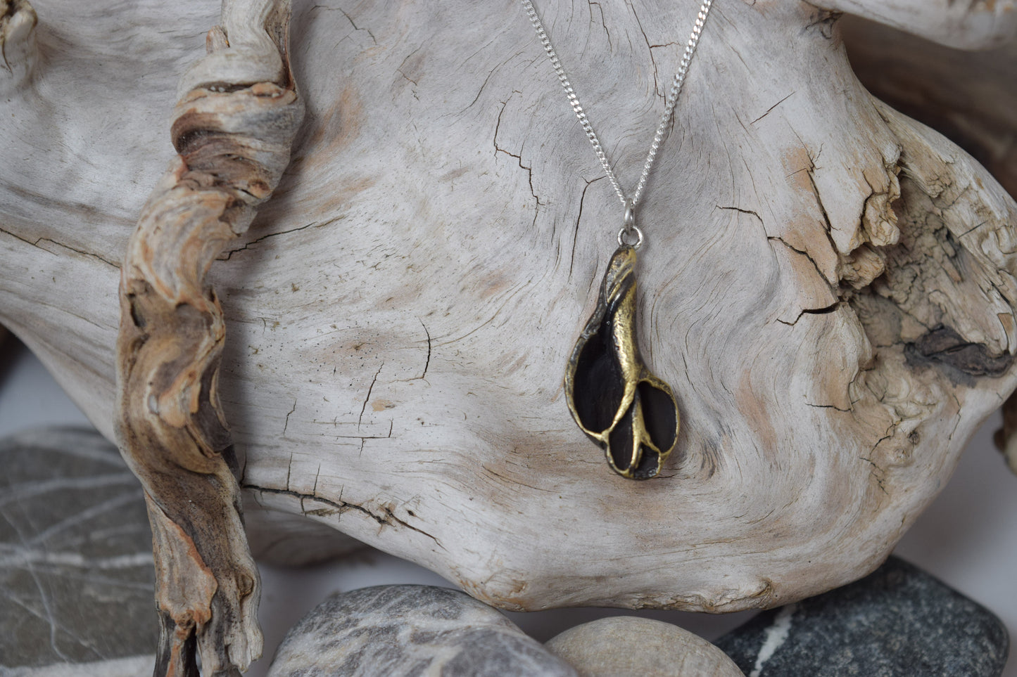 Pendant: Inside a shell #1