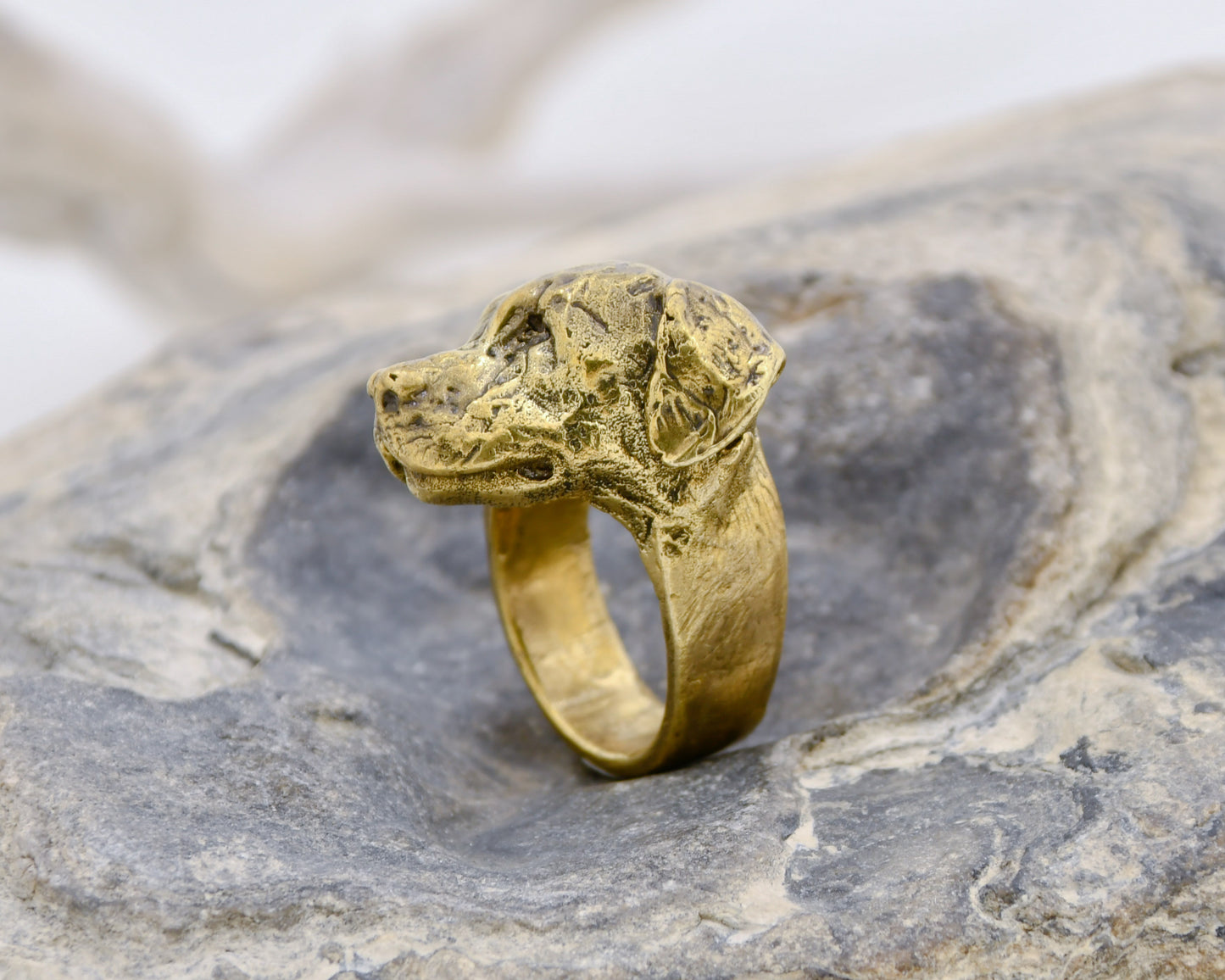 Ring: Labrador