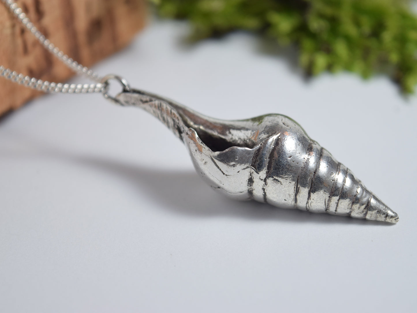 Sea snail - smooth shell