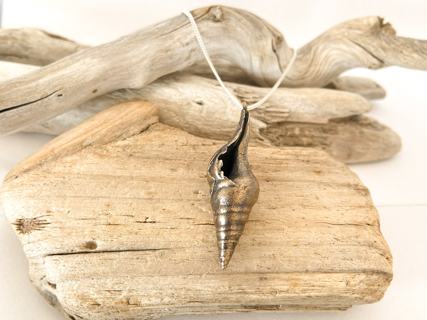 Pendant: Sea snail - smooth shell