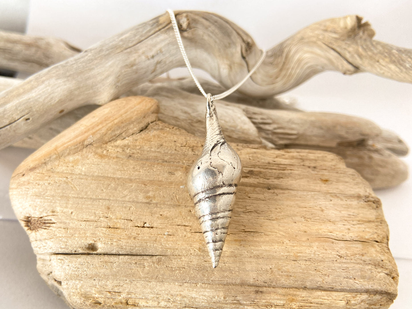 Sea snail - smooth shell