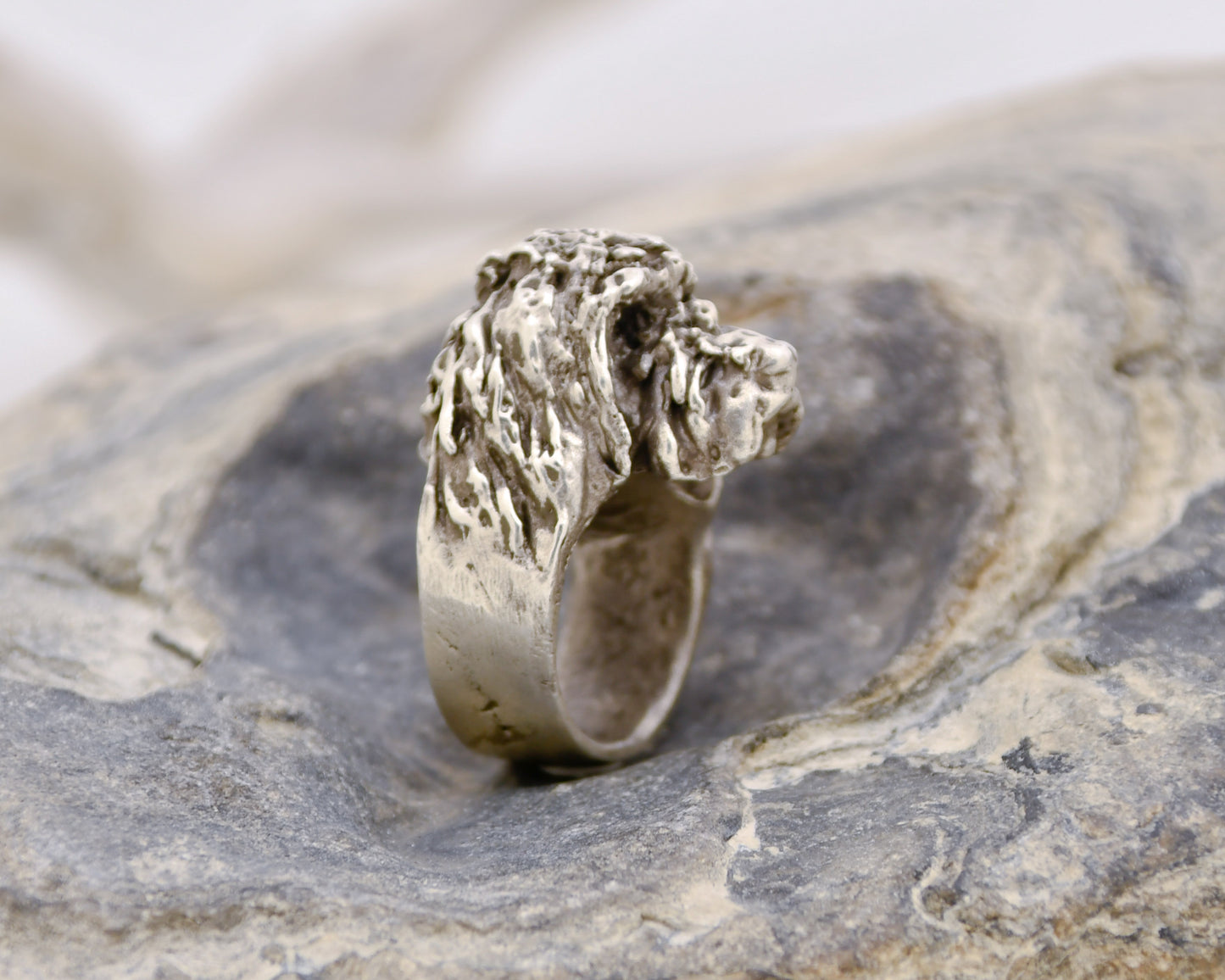 Spinone ring