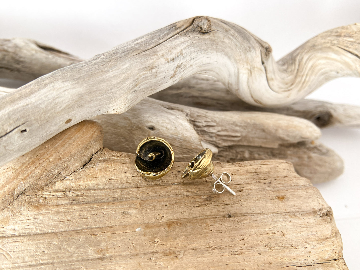 Spiral shell stud earrings