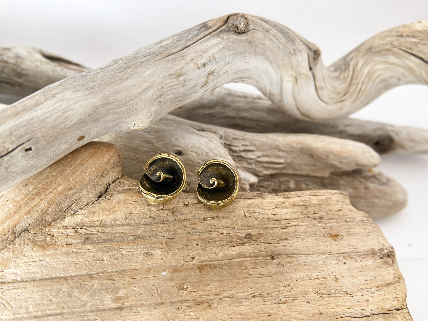 Spiral shell stud earrings