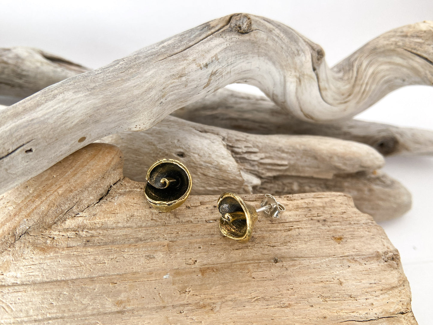 Spiral shell stud earrings