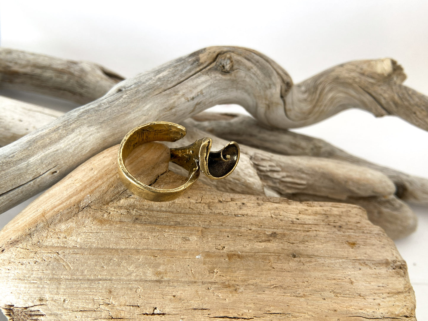 Ring: Spiral shell