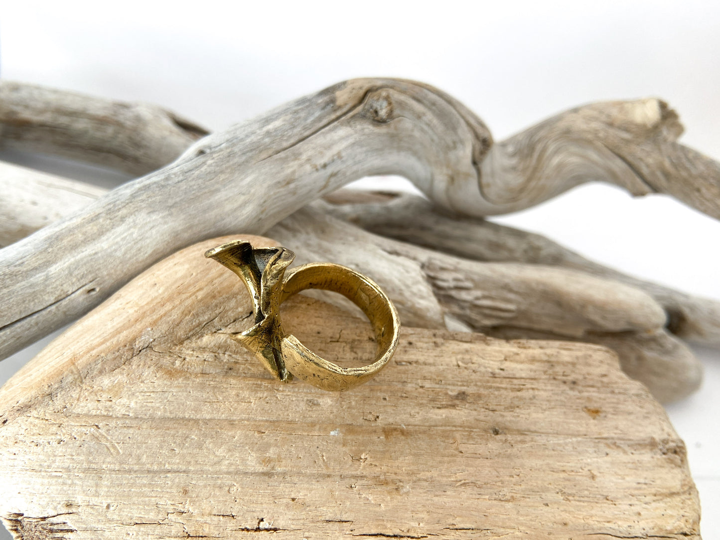 Ring: Spiral shell