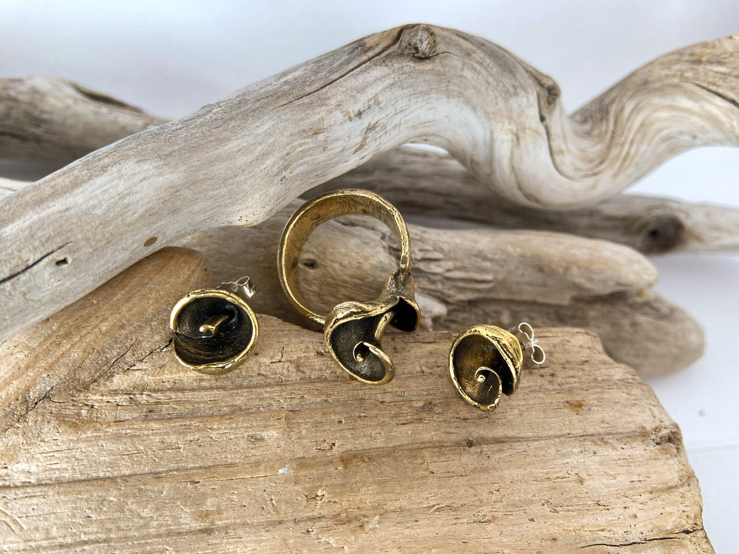 Spiral shell stud earrings