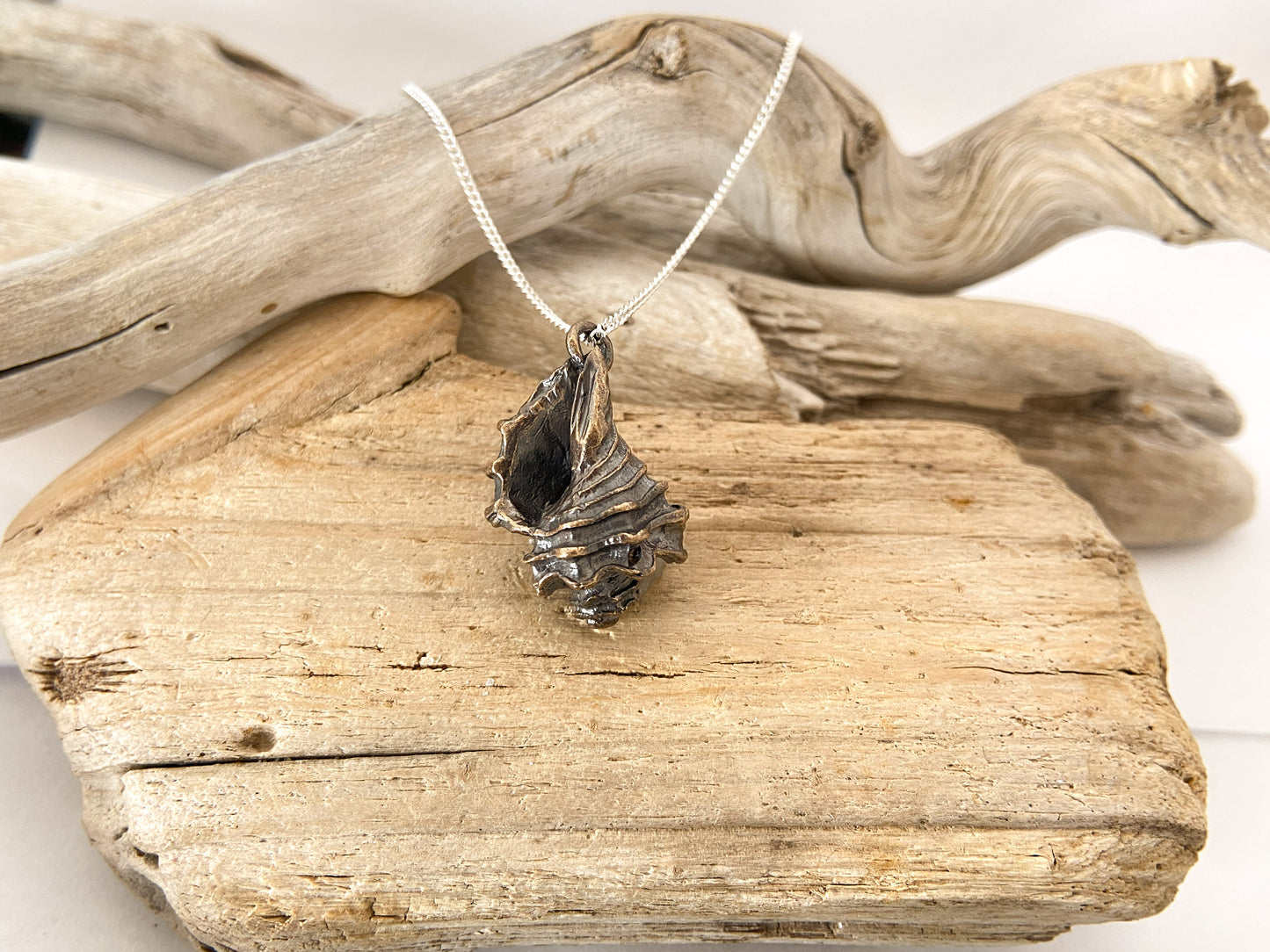 Triton knobbly shell pendant
