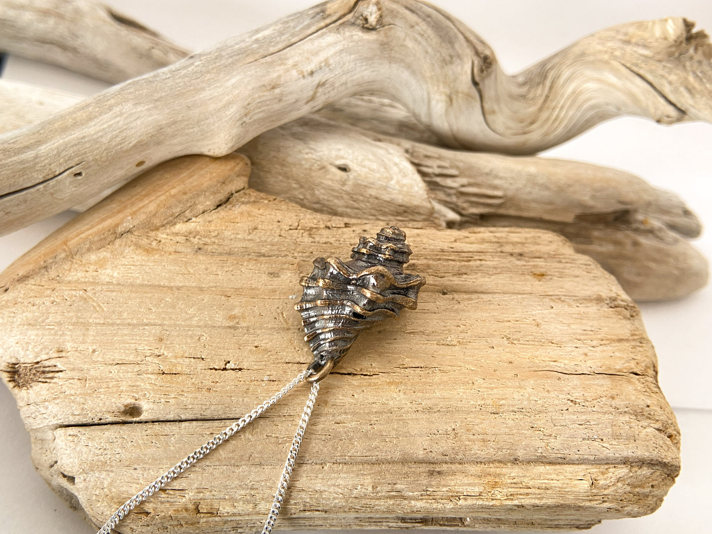Triton knobbly shell pendant
