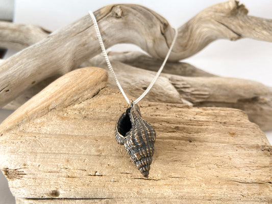 Triton shell pendant
