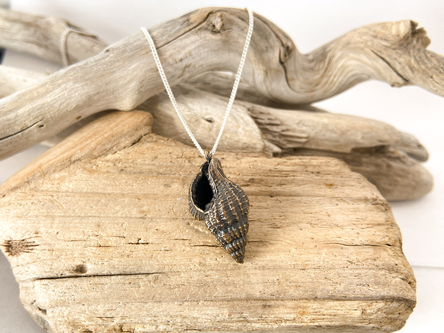 Pendant: Triton shell