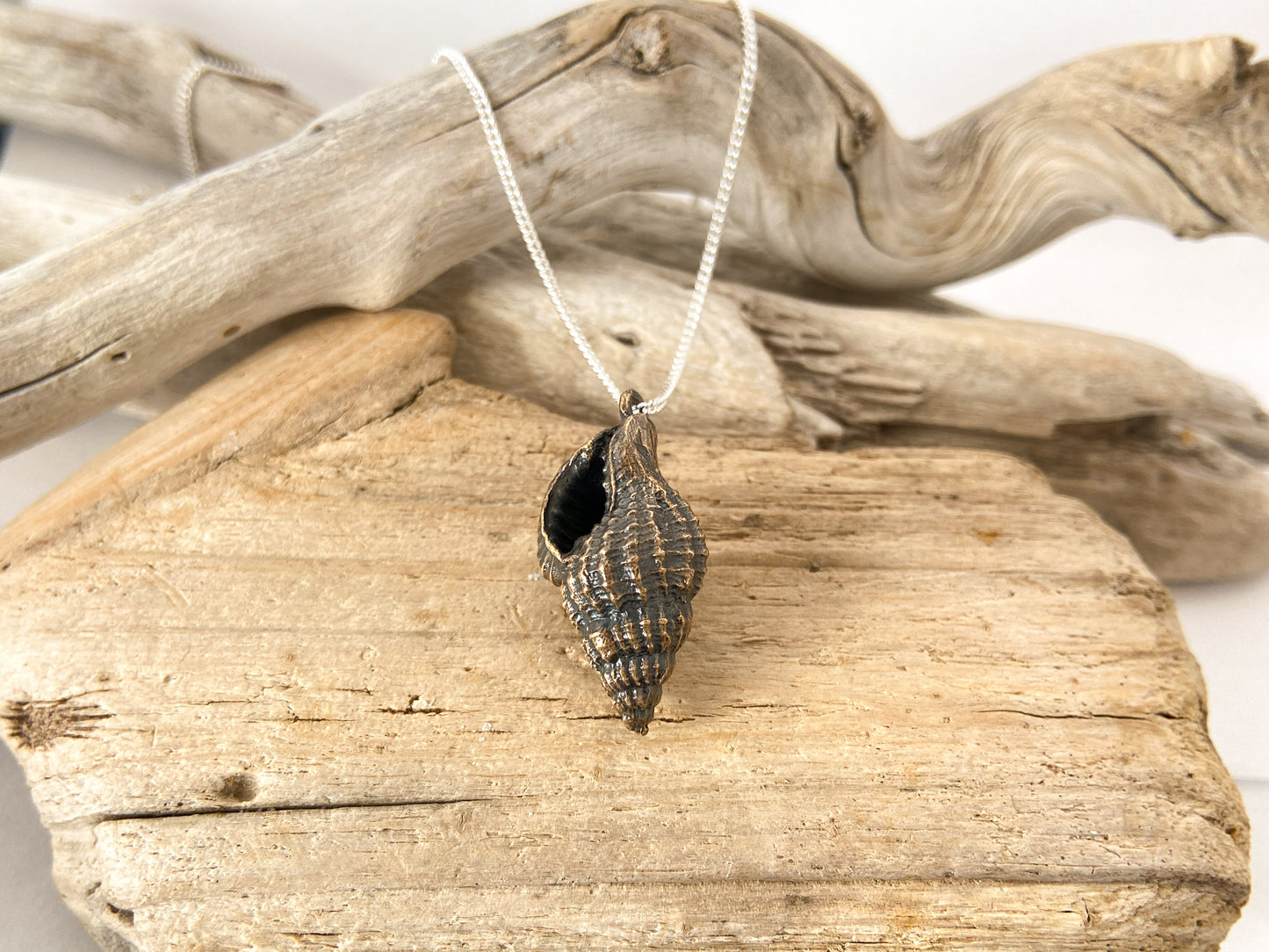Pendant: Triton shell