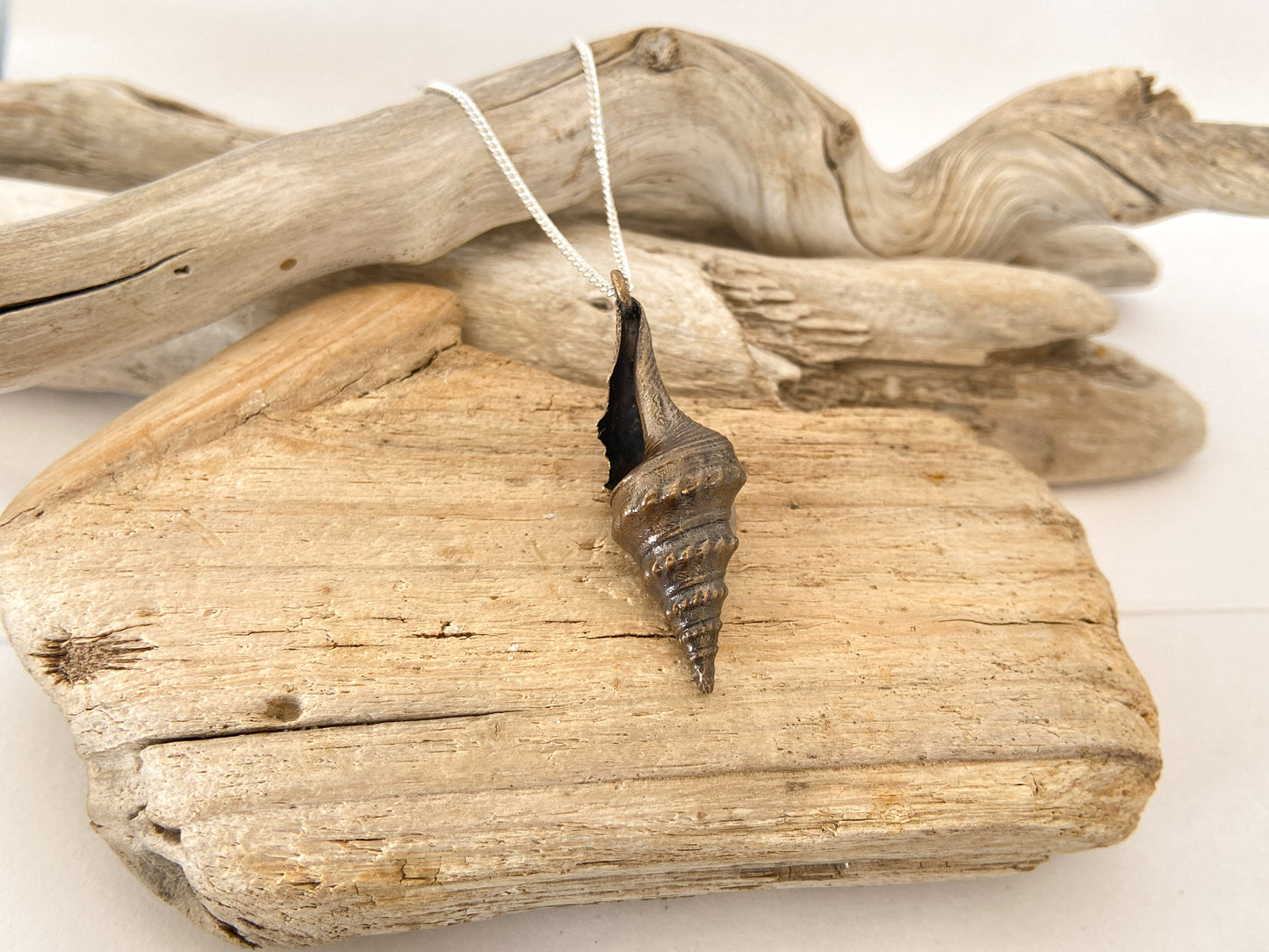 Pendant: Sea snail - knobbly shell
