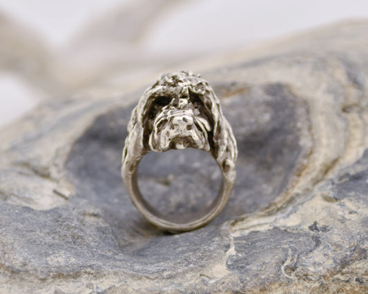 Spinone ring